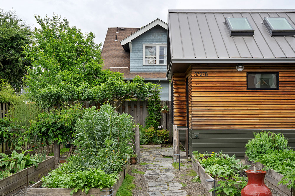 Garden path with raised vegetable beds leading to the cedar-clad Irving Park ADU beside its blue-grey craftsman main house, Northeast Portland, by Tweto Architecture