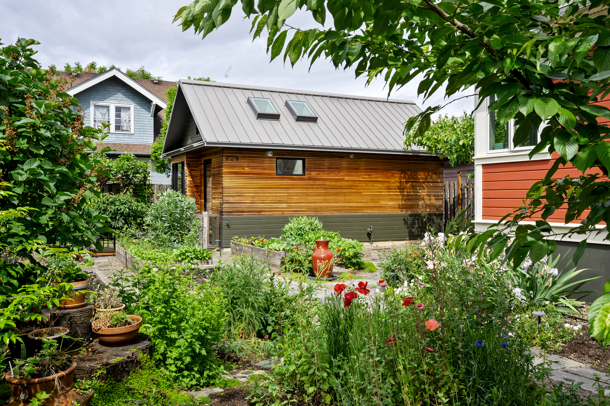 Gable end of the Irving Park ADU seen through garden plantings, with cedar siding, dark green base, and metal roof, NE Portland by Tweto Architecture