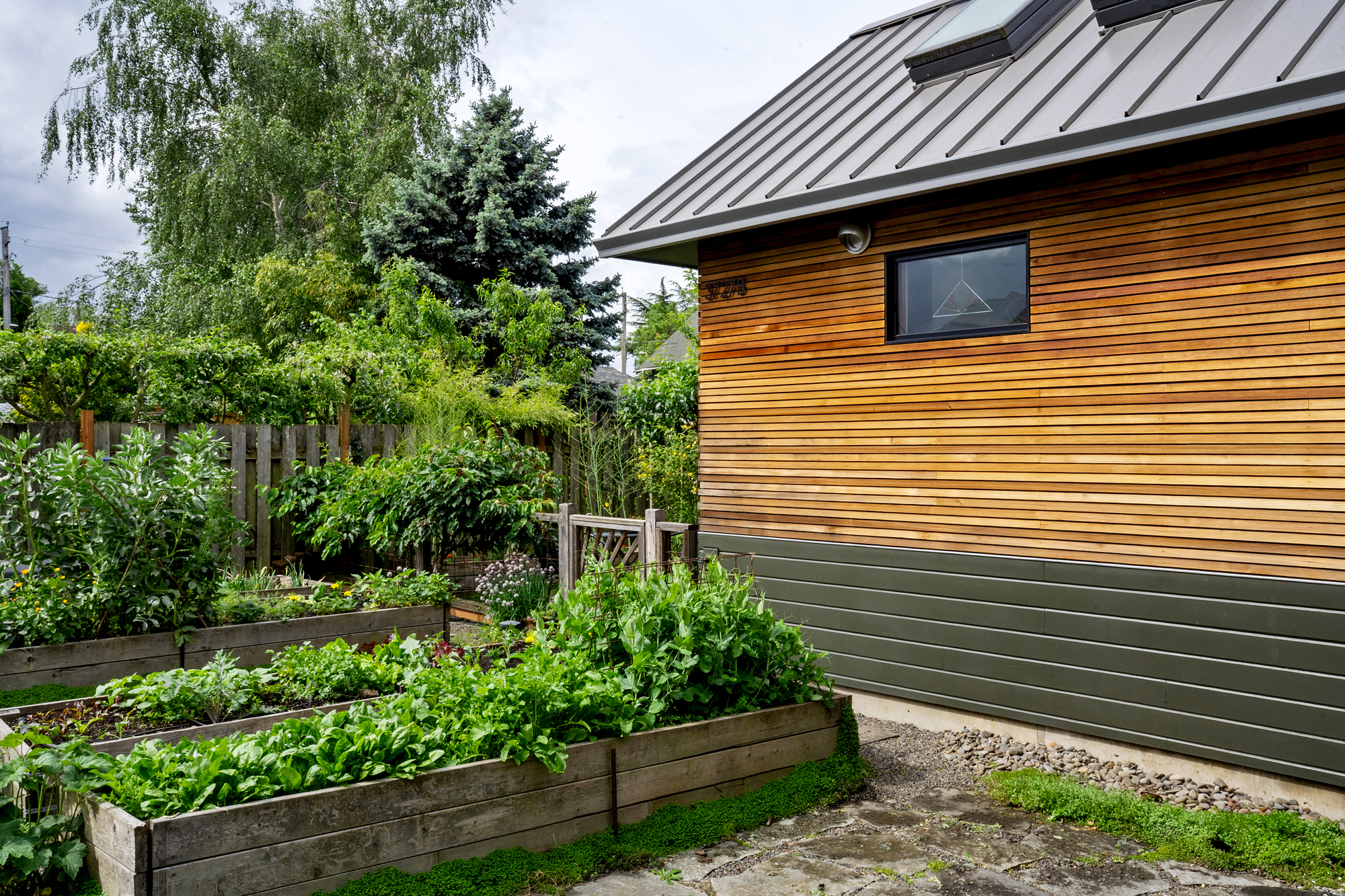 Side elevation of the Irving Park ADU with cedar siding and a window above raised garden beds and a gravel path, by Tweto Architecture